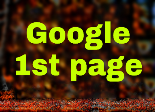 Google 1st page ranking with HQ white hat seo service