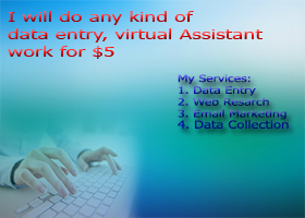 do data entry, excel and any kind of virtual assistan...