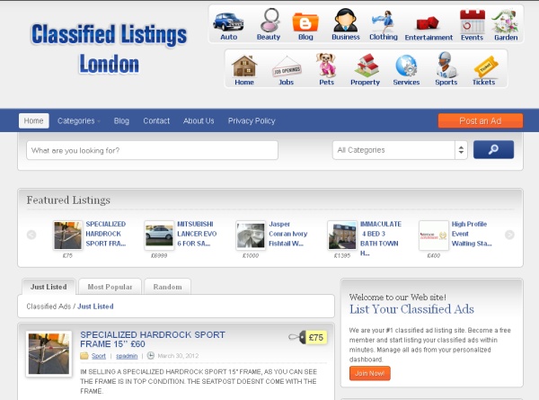 build you professional classifiedads website on wordp...