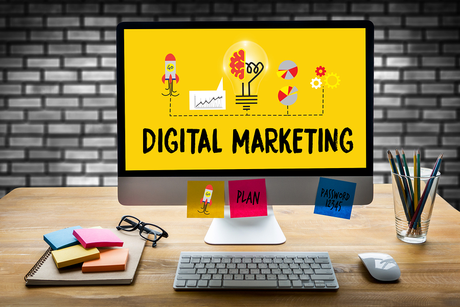 Provide a tailored Digital Marketing Strategy for you...