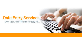 Data entry or Copy writing per page