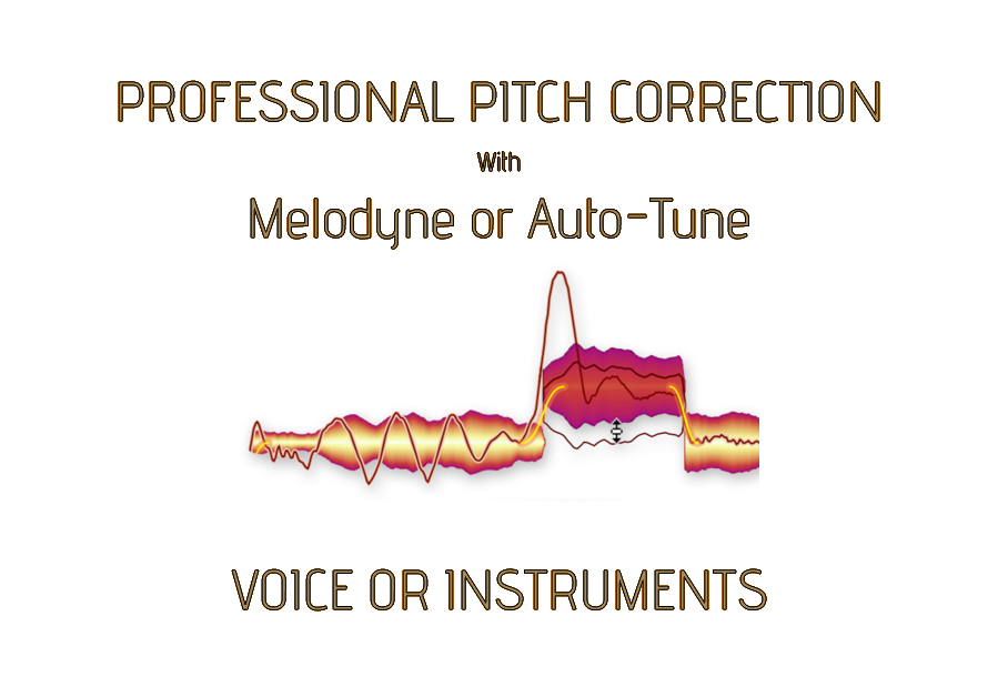 professional correct pitch voice or instrument manual...