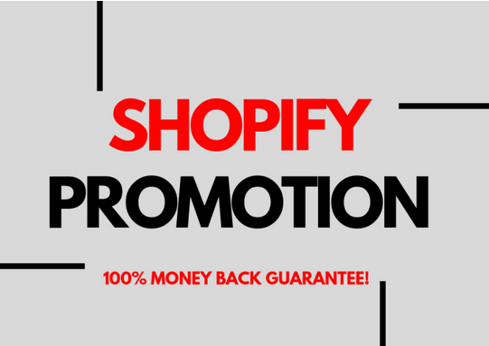 effective shopify SEO optimization with 1,000,000 bac...
