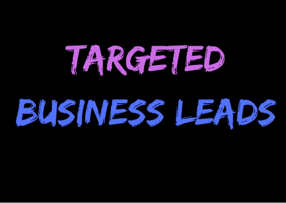 provide 100 targeted business leads as per your requi...