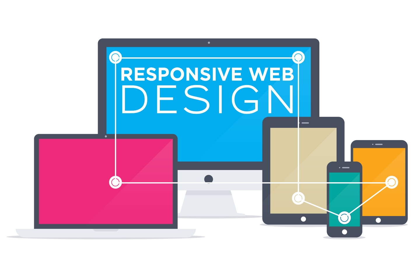 Develop a WordPress Website