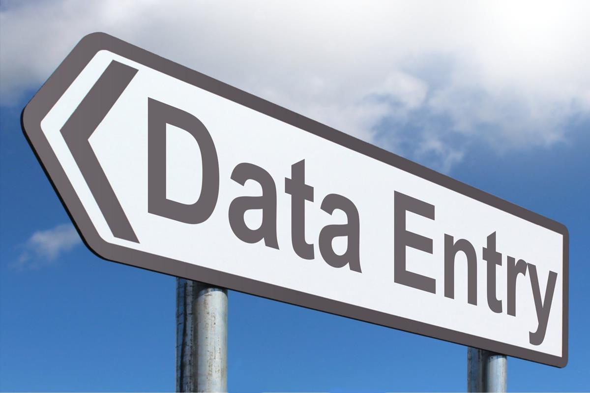 I want to do some data entry for sir