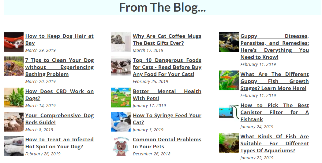 Write 2000 words and publish a guest post on my pets ...