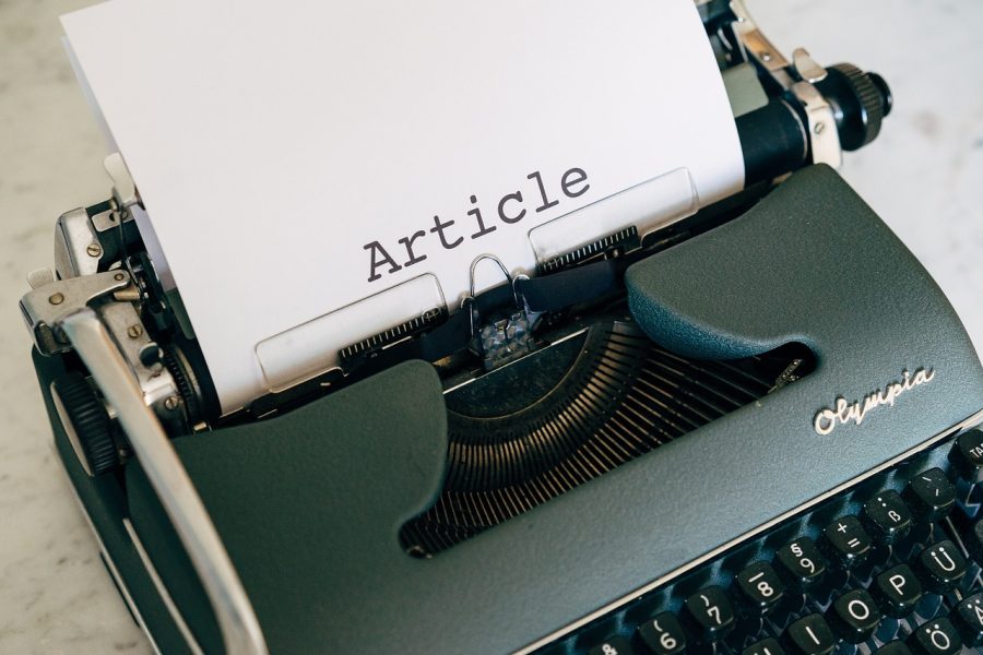 I will write italian article and publish it on my Italy Italian Blog niche: pet, animal, SEO, sport
