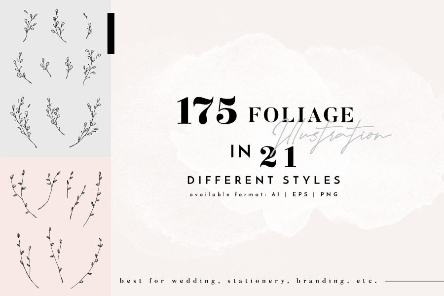 150 Floral Outline Illustration & Logo Pack with FULL rights