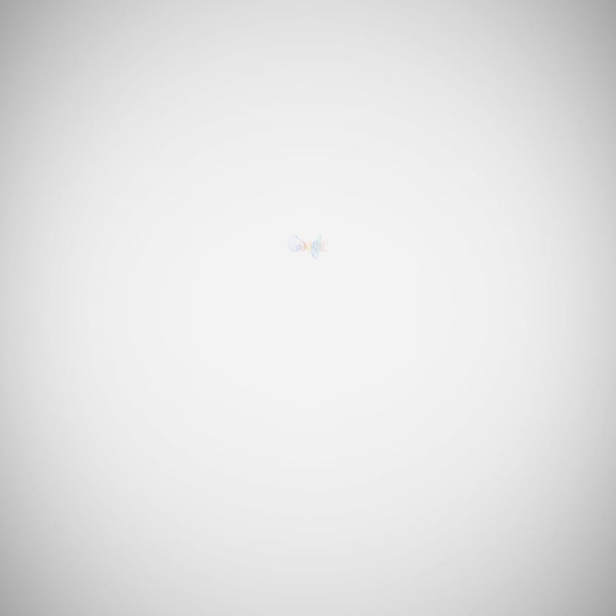 make Special Google Search Video Intro