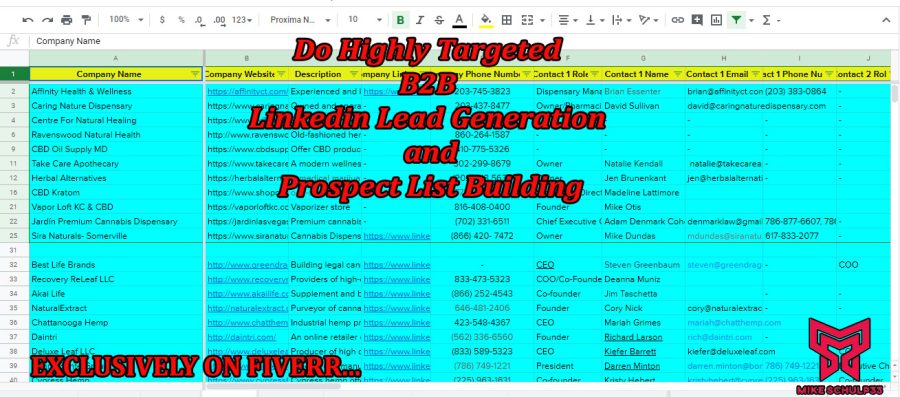I will do linkedin lead generation and build email lists