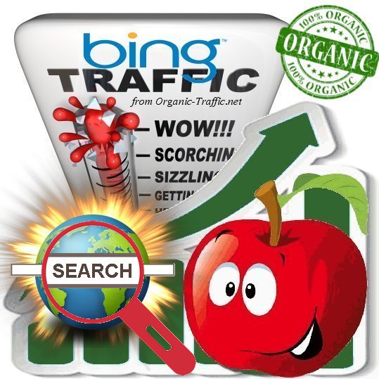 Organic search traffic through Bing with Keywords