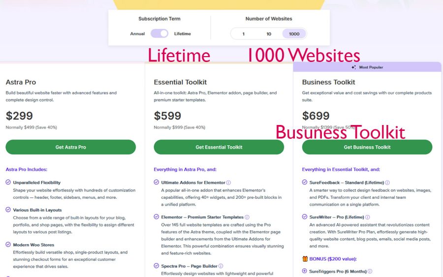 I will build wordpress website with Astra Pro (Premium Starter templates)
