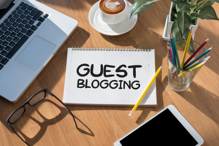 Niche Guest Posting Service - Powerful Links from DA 20-30 Sites 