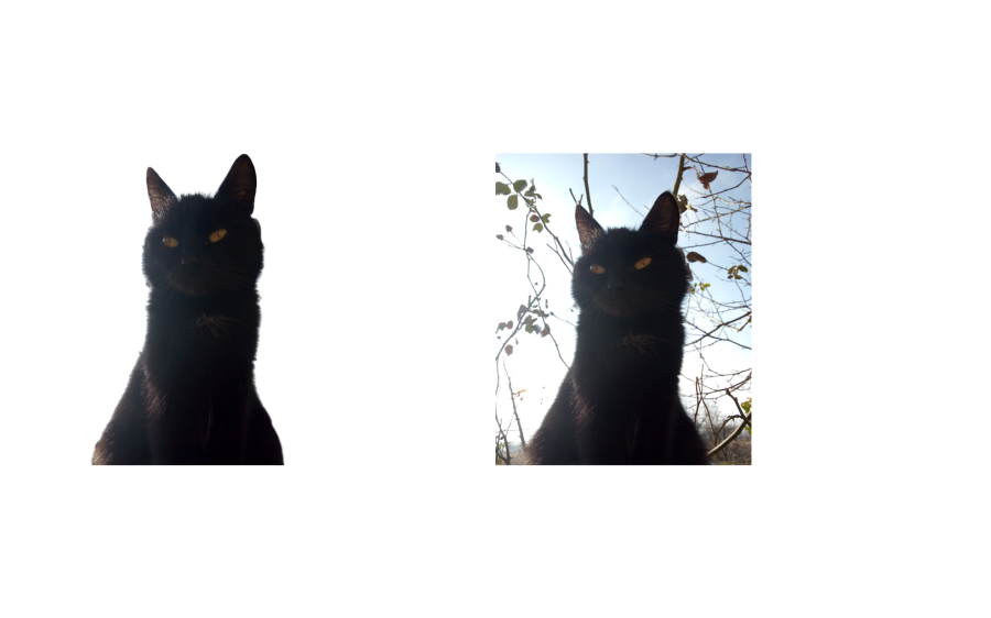 I will remove background from 10 images professionally