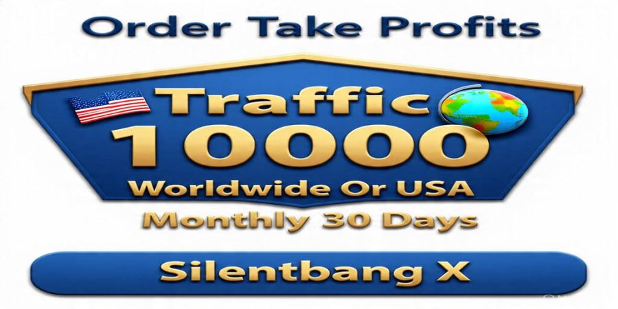 Make New Order Take Profits 20000 Worldwide Or USA Monthly 30 Days Google Traffic Website 1 Keyword 