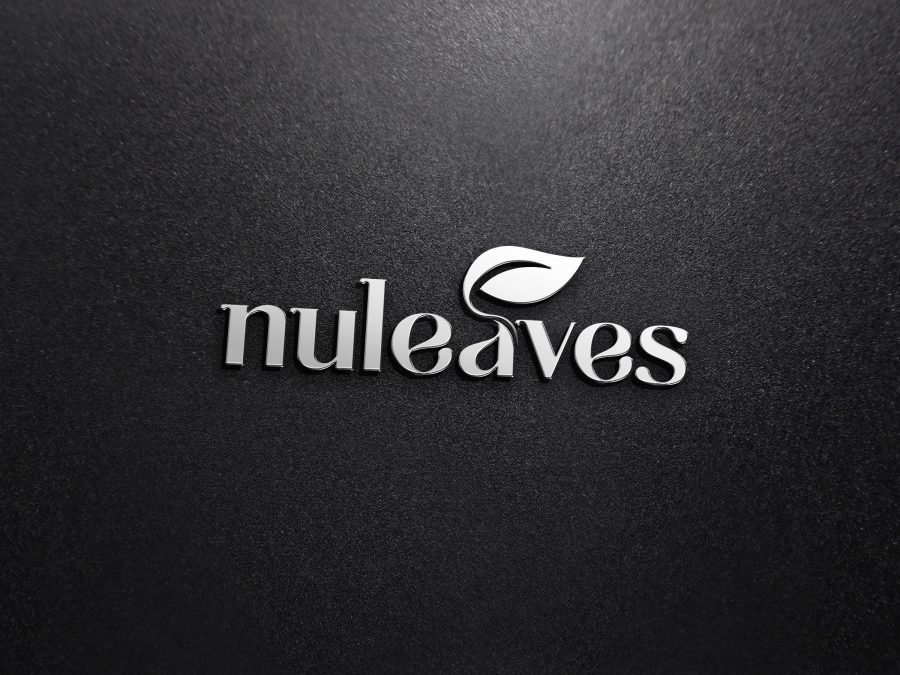 Create professional logo for your business