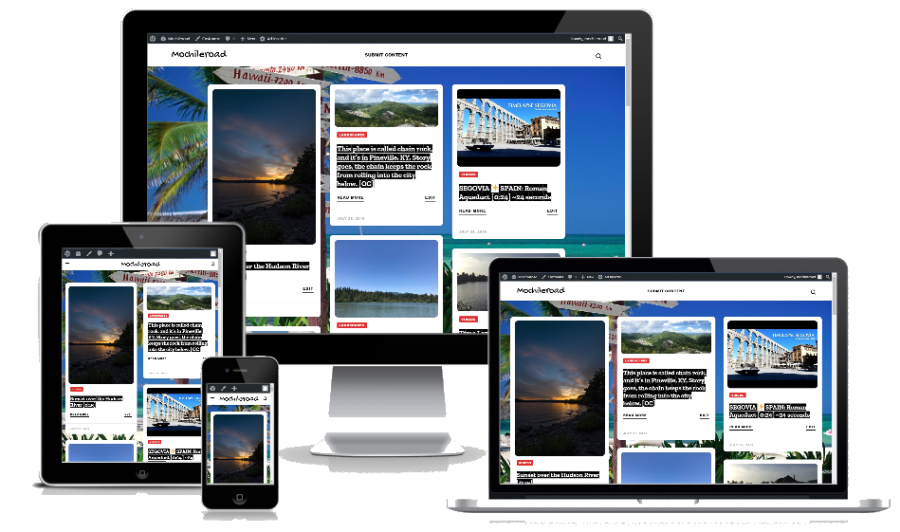 I Will Sell A Fully Automated Website That Is Adsense Ready