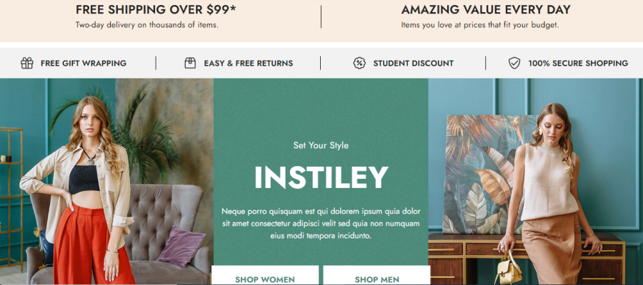 Create Shopify Dropshipping Store, Shopify Website