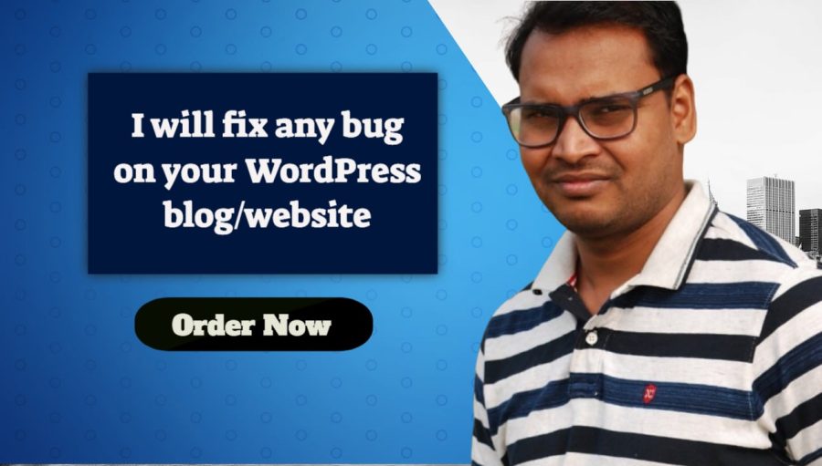 I will fix wordpress, html, CSS bugs and errors