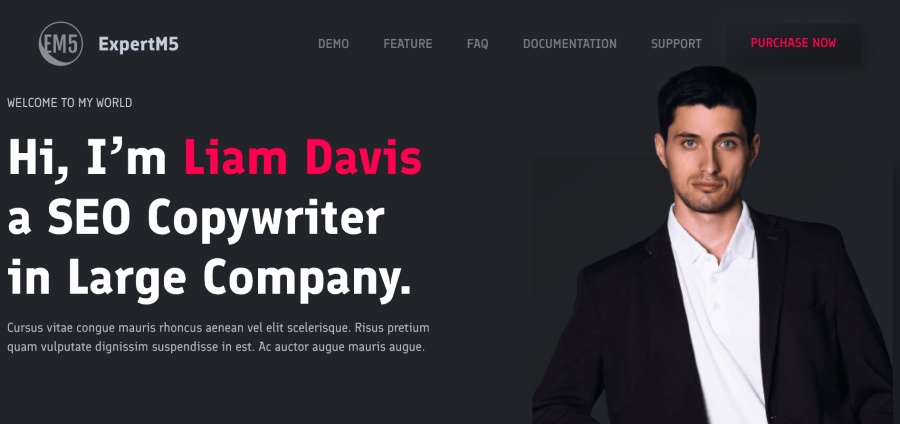 I will make a professional website for your business