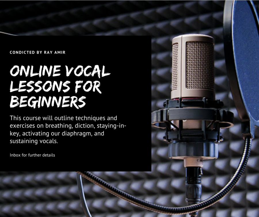 Online Vocal Lessons For Beginners (Limited Offer)