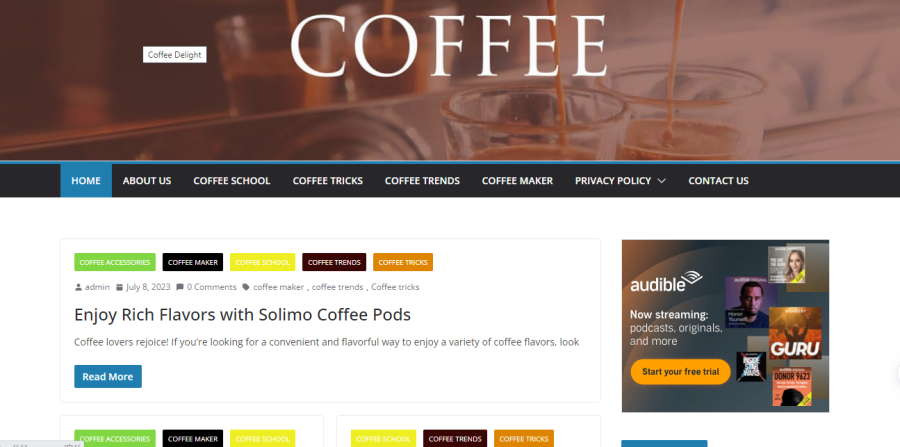 Get unique wordpress adsense niche site