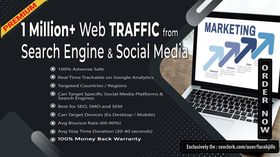 1 MILLION Traffic from Search Engine and Social Media