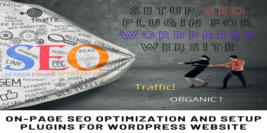 Setup and Optimize SEO Plugin for WordPress Website