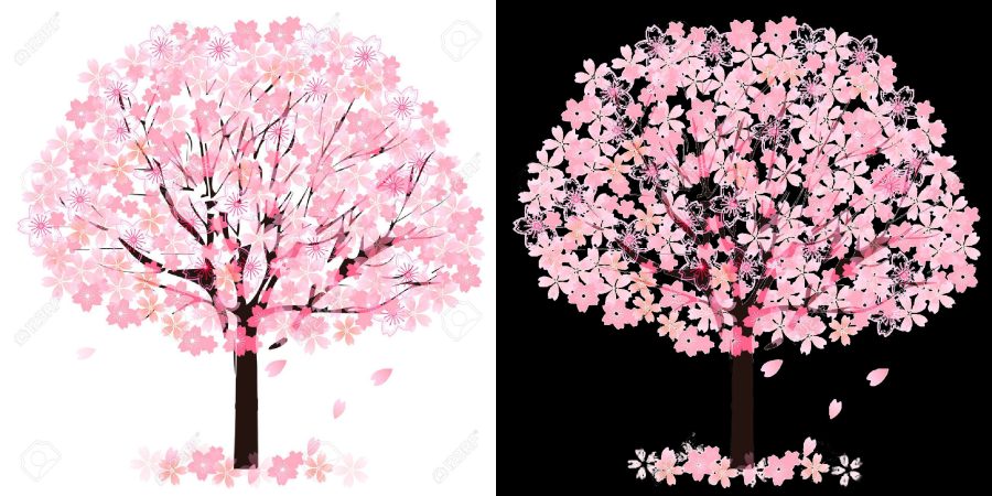 I will remove 4 images background