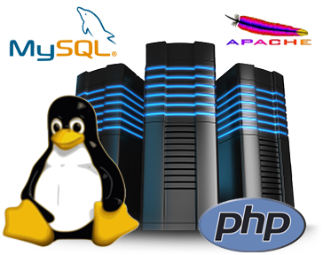 Super fast NVMe SSD high quality webhosting for 1 year
