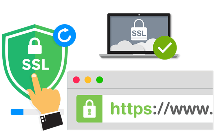 Purchase & Install SSL certificate for your domain