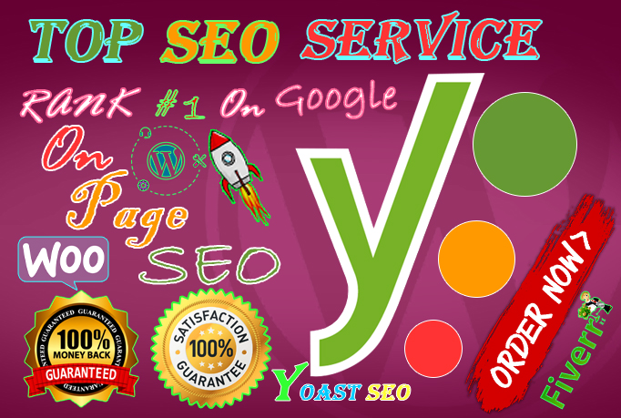 I will do professional on page SEO and 5 page WordPress website google top ranking