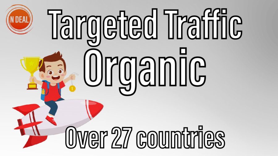 3000 Visitors Targeted Real and Organic Traffic 