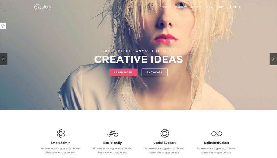 wordpress website design woocommerce , magazine , landing page and etc