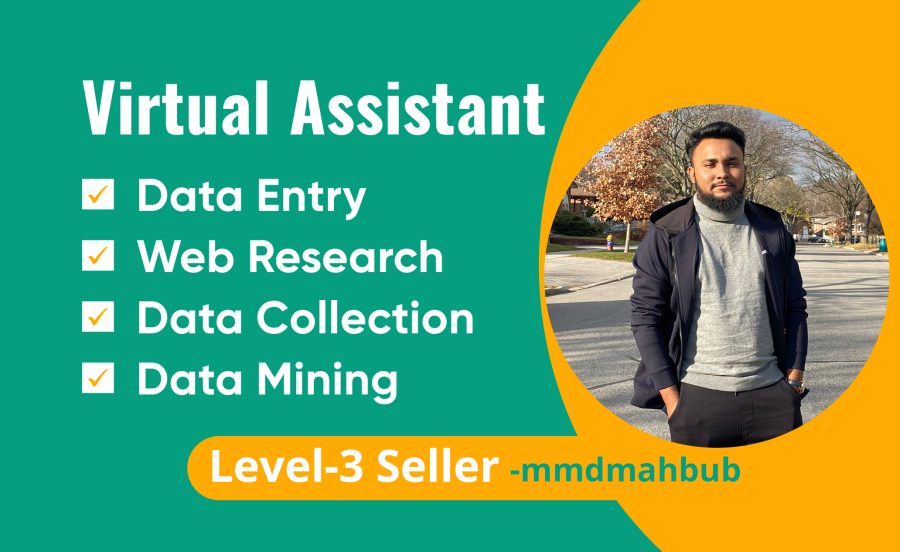 Professional Virtual Assistant for Data Entry, Data Mining, Copy-Paste, and Web Research Services