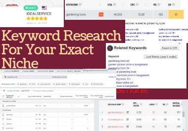 I will give 500 long tail, low comparative, niche related keyword and 5 competitor keyword analysis