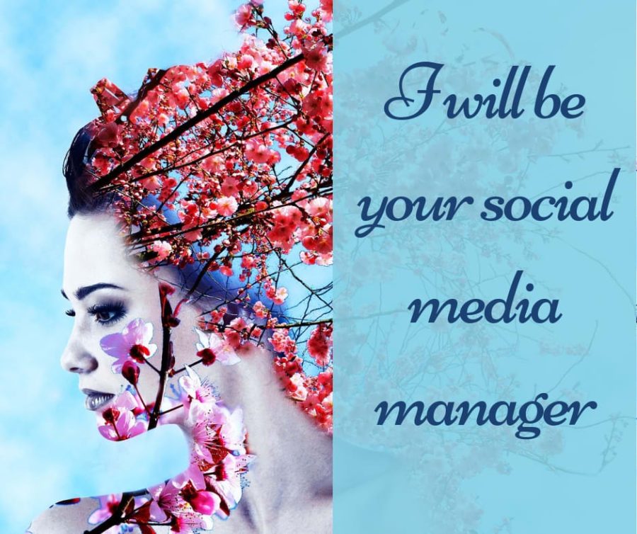 I will be your social media manager, social media marketing, content creator