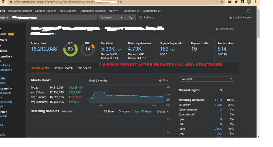 30 Days Google Top Ranking | Get 1500 DAILY Real Google Traffic 