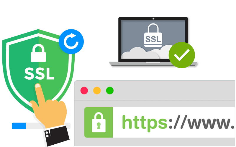 Install SSL Certificate on Your Website or WordPress & Free SSL too