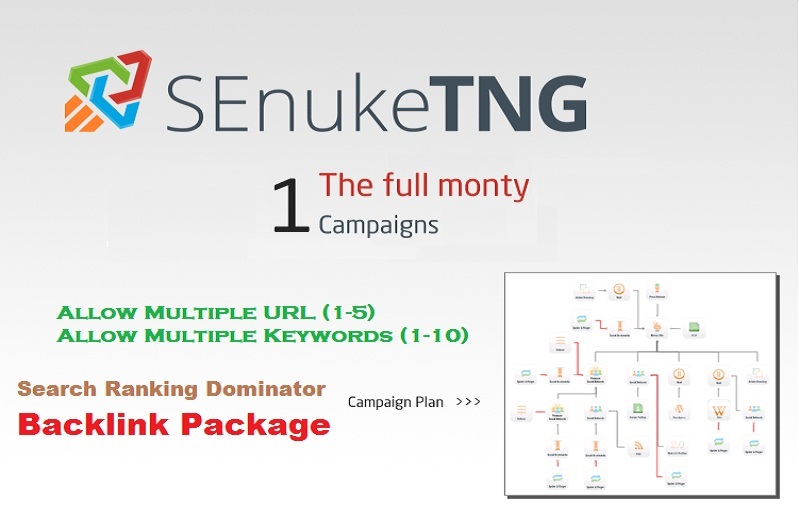 Boost SEO With 100 percent White Hat Senuke Full Monty V4 TNG Backlink Campaign