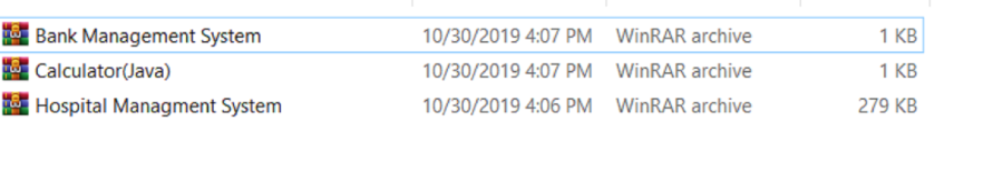 I will make your programming assignment for you