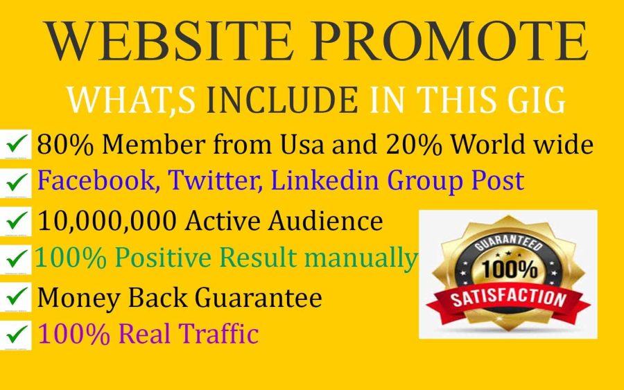 I will promote and advertise your website,blog and business to social media people