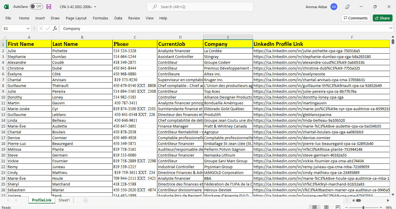 I will do excel data entry, copy paste and website data entry tasks