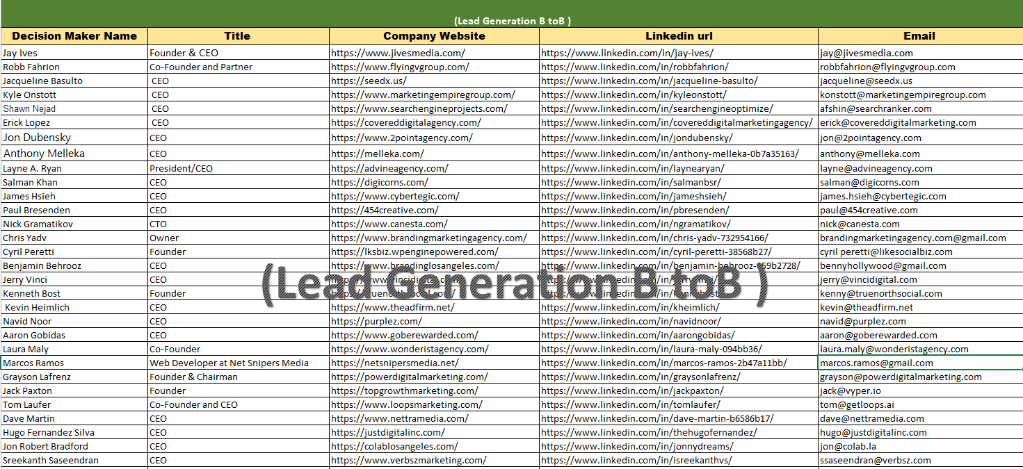 I Will Generate 50 High-Quality, Targeted and Verified Leads to Boost Your Business