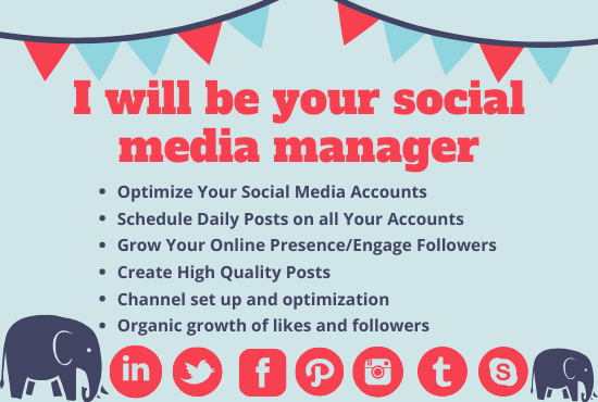 I will be your professional social media manager