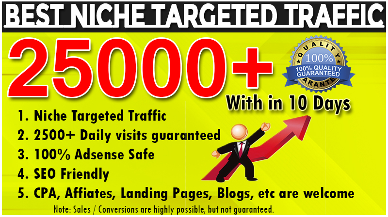 I will provide 25000 targeted website traffic real visitors