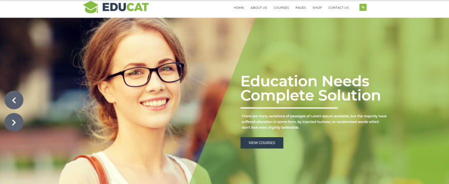 Develop a Professional Shopify Store