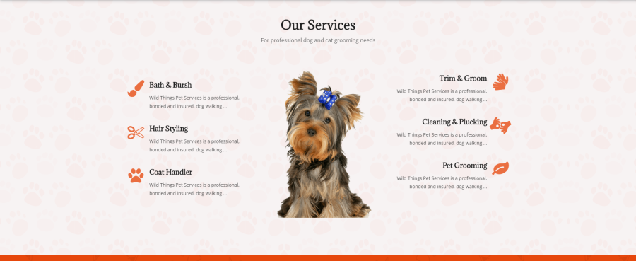 Develop a Professional Weebly website