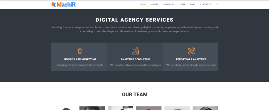 Develop a Professional Volusion Website